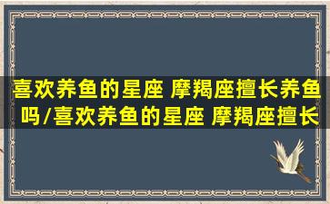 喜欢养鱼的星座 摩羯座擅长养鱼吗/喜欢养鱼的星座 摩羯座擅长养鱼吗-我的网站